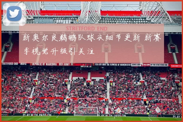 新奥尔良鹈鹕队球衣细节更新 新赛季视觉升级引关注